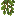 Cave Vines