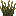 Firefly Bush